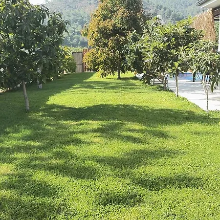 Villa Ortaca'da, 1+1 ,doga Icinde, Limon Cicegi Ortaca (Mugla)
